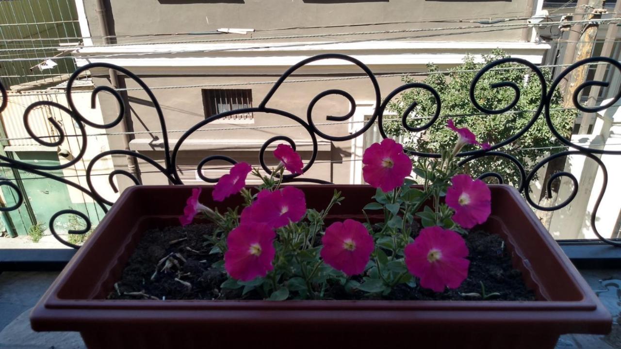 Casa Fibonacci Hotell Valparaíso Eksteriør bilde